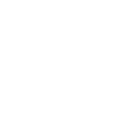 INEX