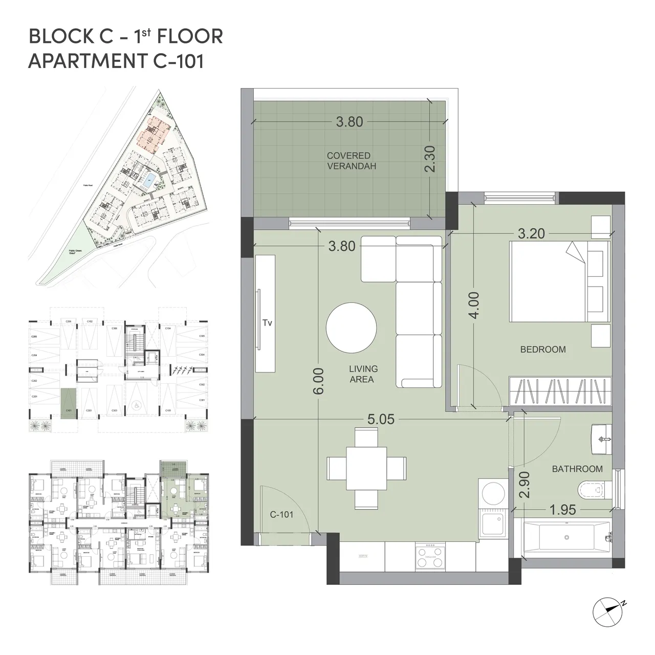 Salt, Block #C, № 101, ID: 23990