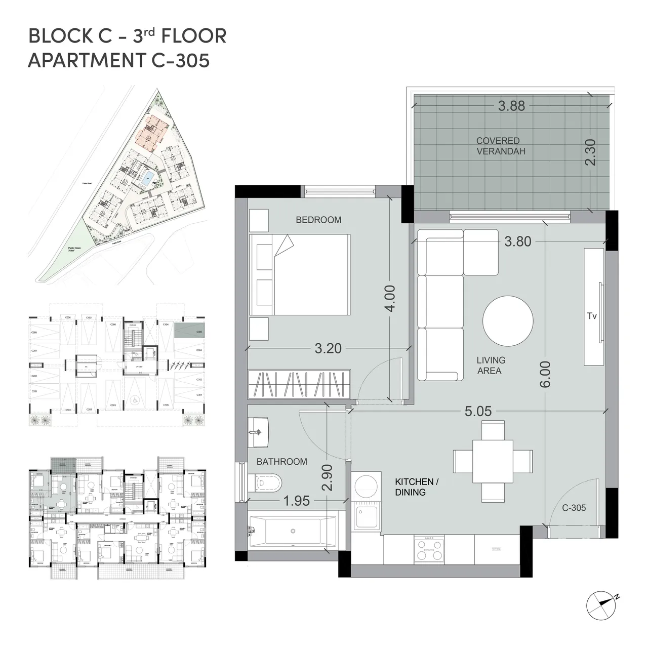 Salt, Block #C, № 305, ID: 24006