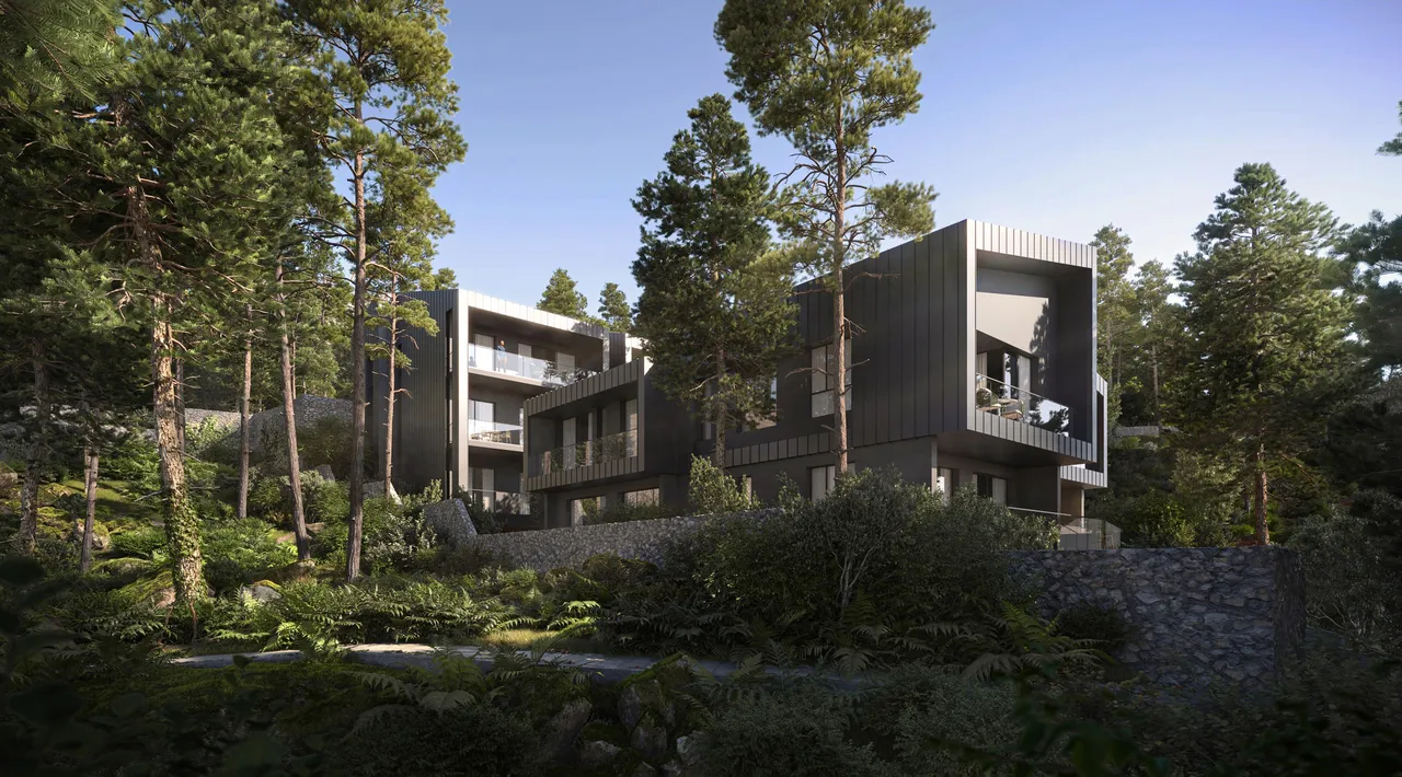 :blackpine