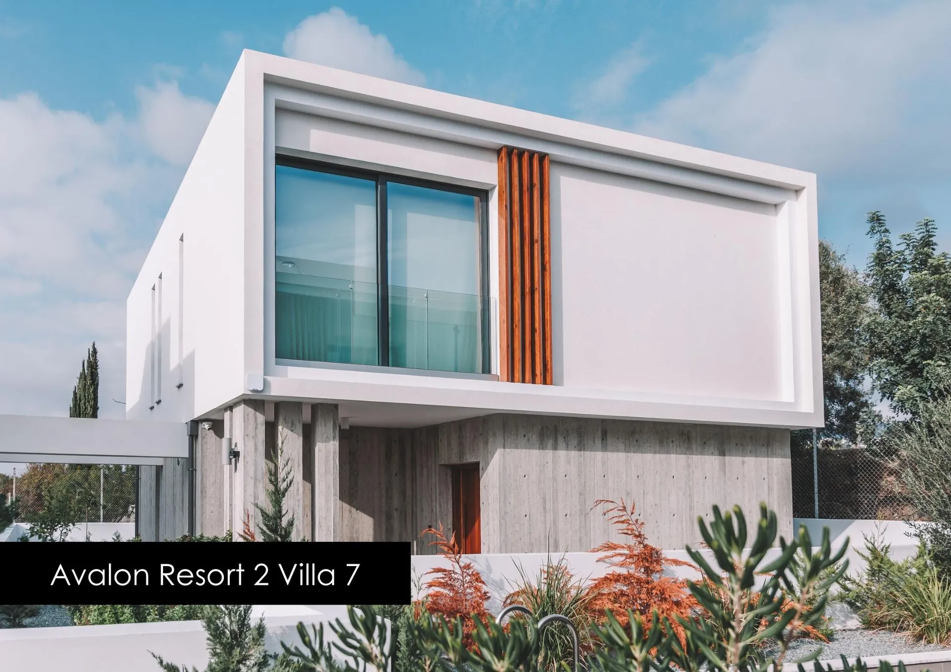 Avalon Resort 2